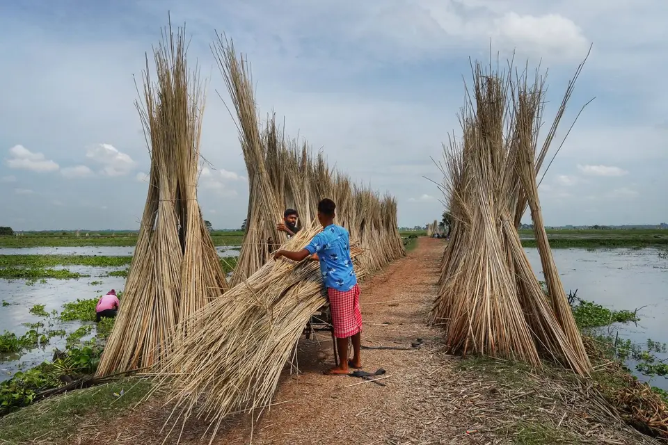 Workers bundling harvested agricultural residue for processing