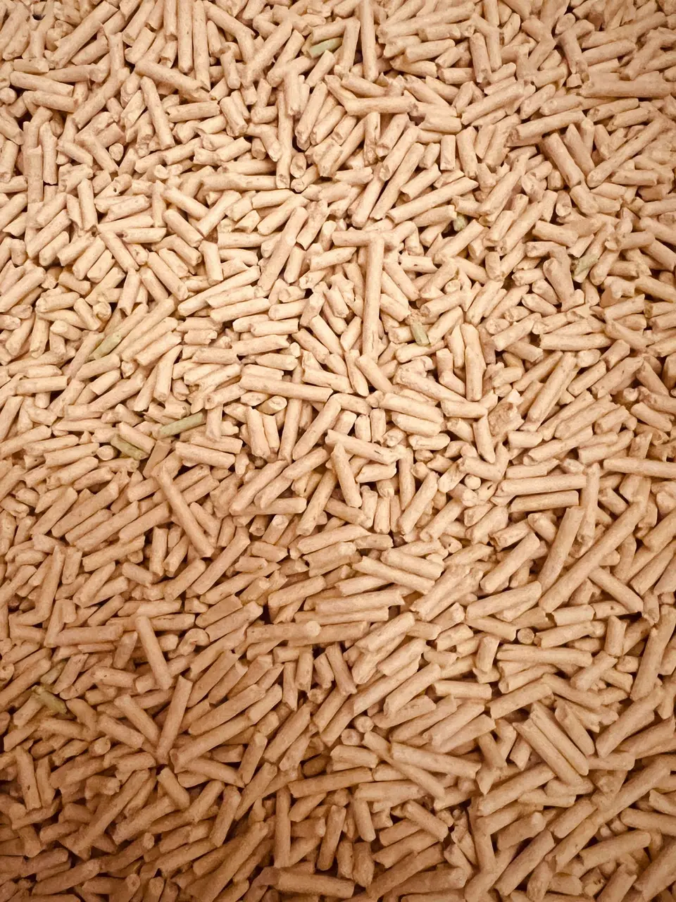Biomass Pellets